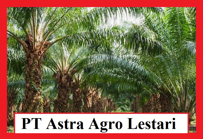 Profil Lengkap PT Astra Agro Lestari, Jakarta Timur